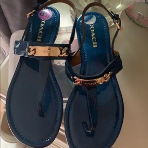 NWT Coach Thong Sandals